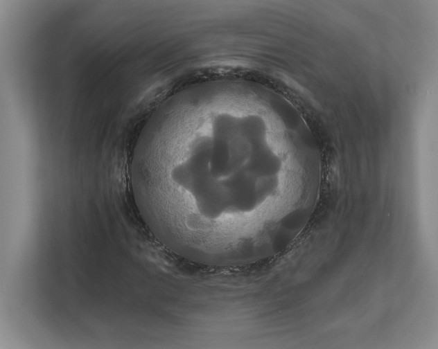 X0000111821014200908061131