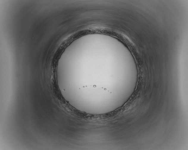 X0000111821016200908061131