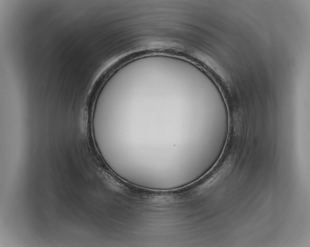 X0000111821021200908061131