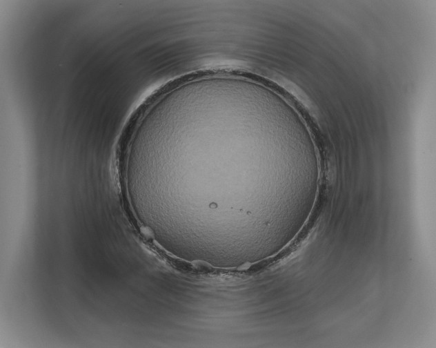 X0000111821022200908061131