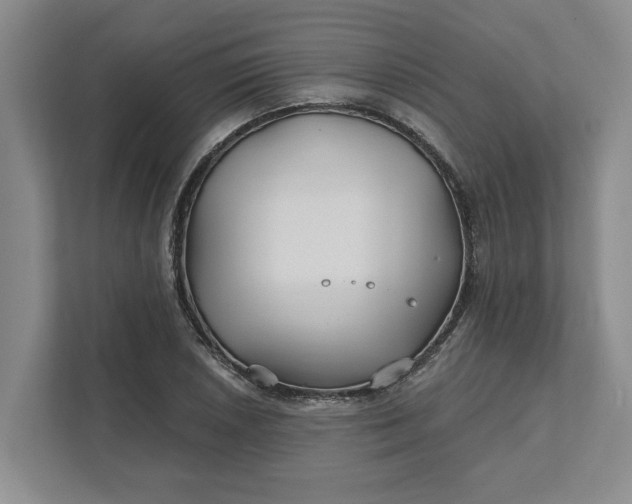 X0000111821026200908061131