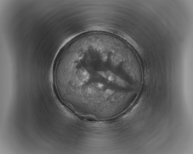 X0000111821028200908061131
