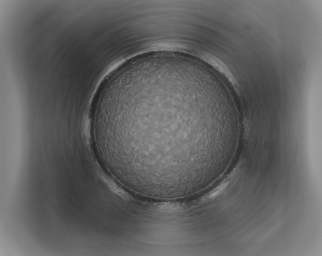 X0000111821029200908061131