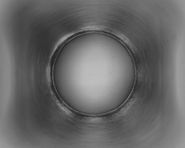 X0000111821030200908061131