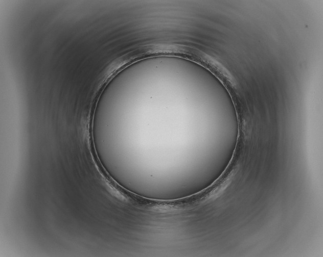 X0000111821033200908061131