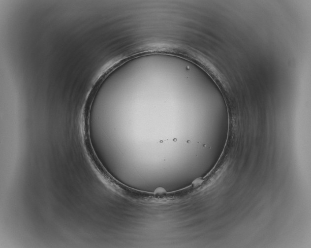 X0000111821034200908061131