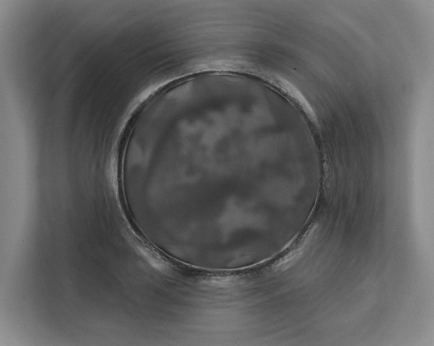 X0000111821035200908061131