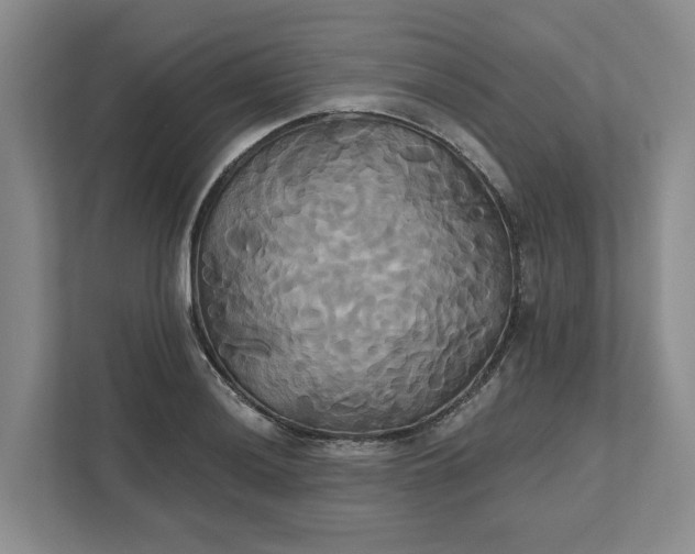 X0000111821036200908061131