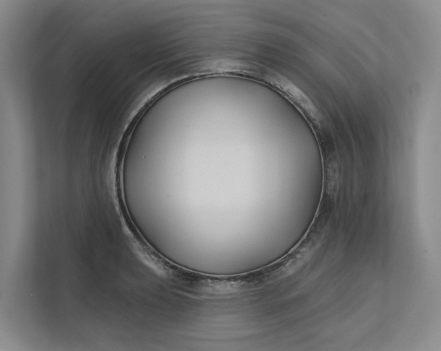 X0000111821039200908061131