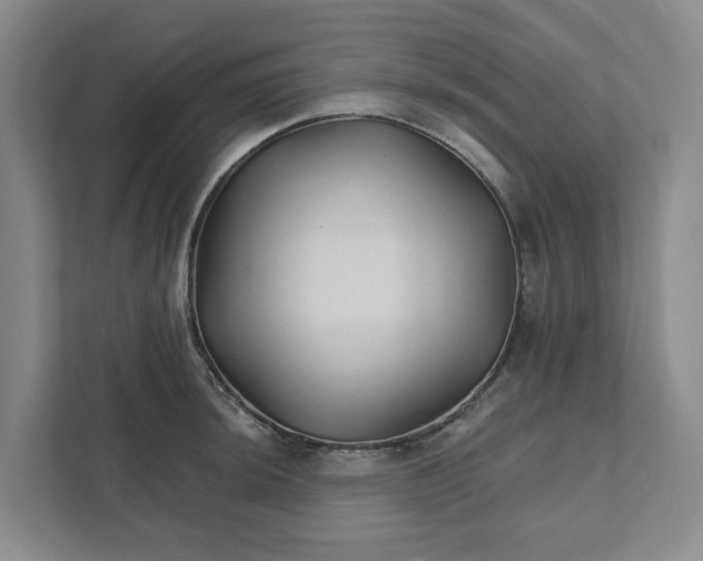 X0000111821044200908061131