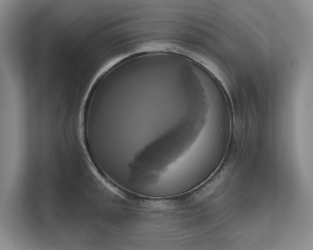 X0000111821045200908061131