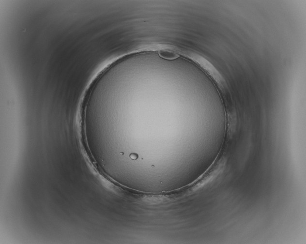 X0000111821046200908061131