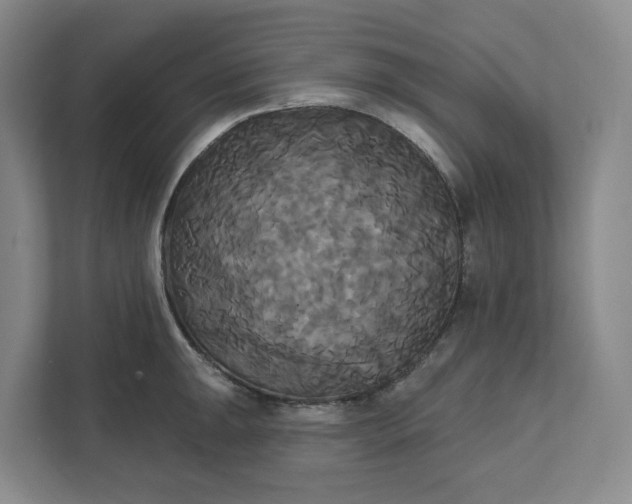 X0000111821047200908061131