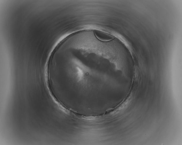 X0000111821048200908061131