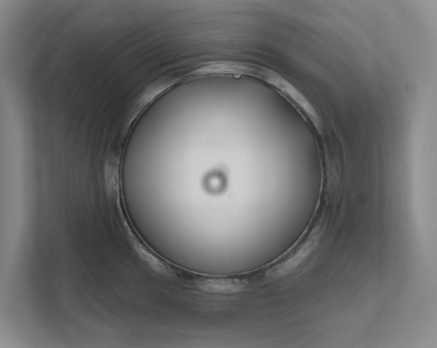 X0000111821049200908061131