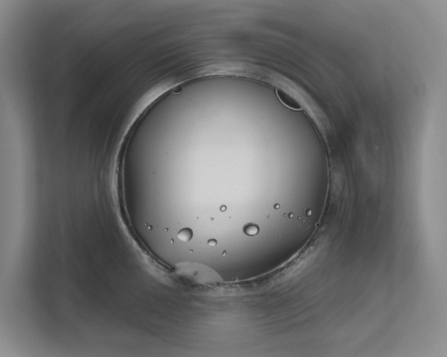 X0000111821050200908061131