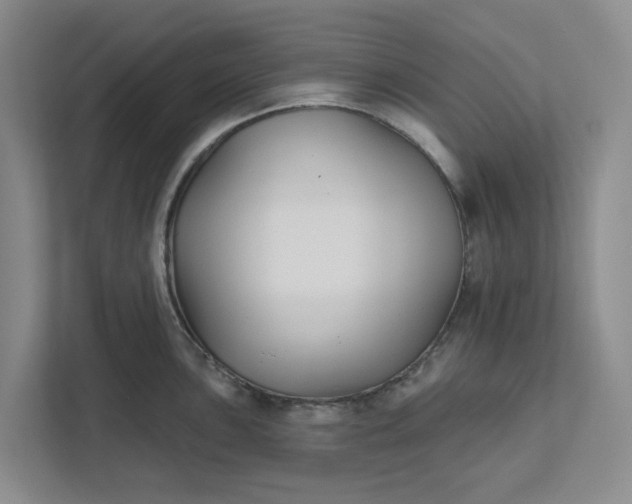 X0000111821051200908061131