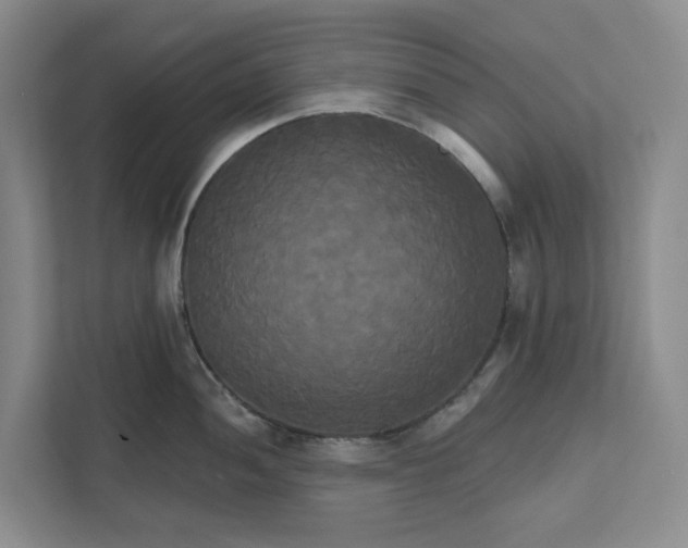 X0000111821052200908061131