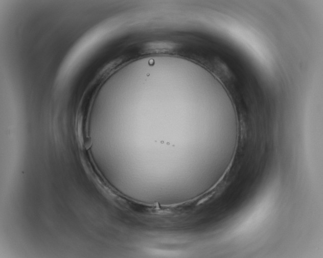 X0000111821054200908061131