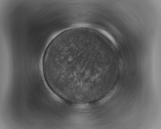 X0000111821055200908061131