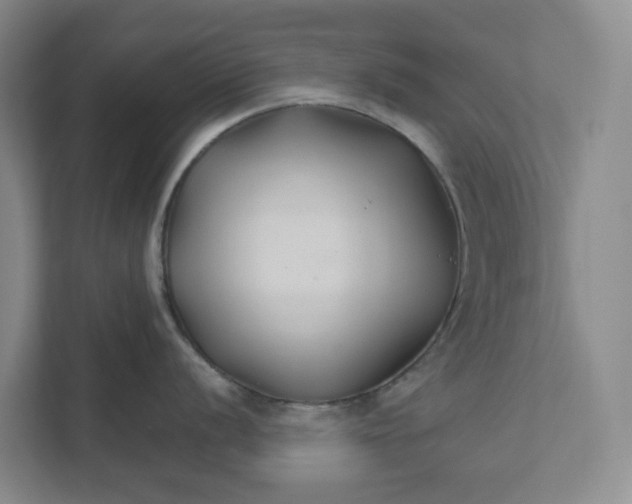 X0000111821056200908061132