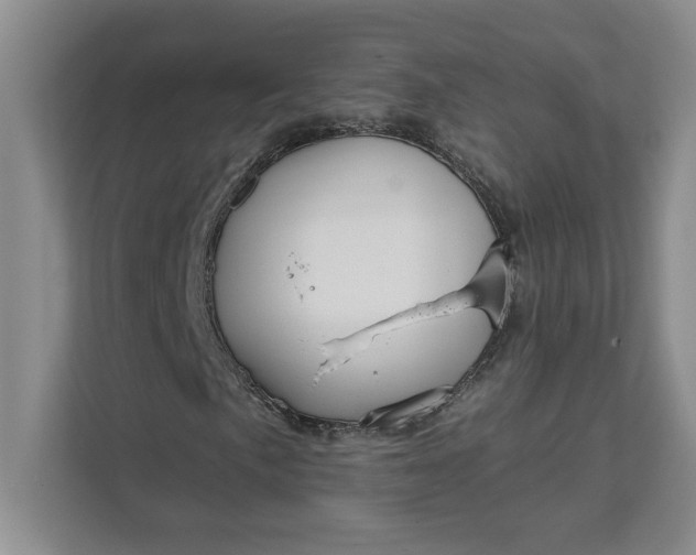 X0000111821057200908061131