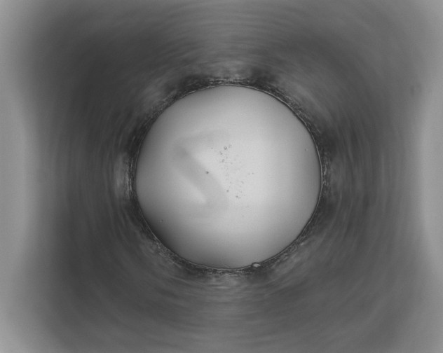 X0000111821058200908061131