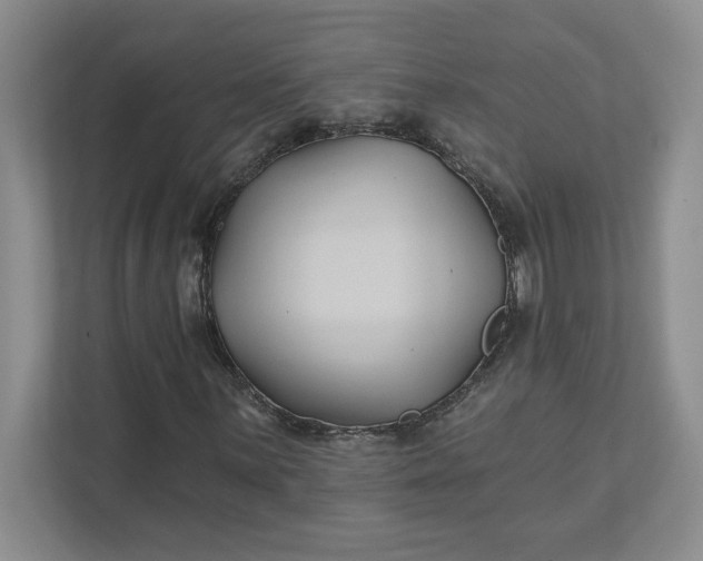 X0000111821059200908061131