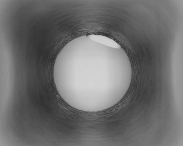 X0000111821060200908061131