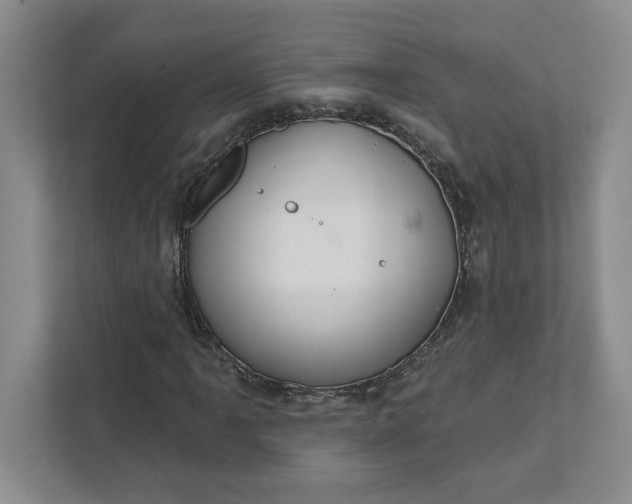 X0000111821061200908061131