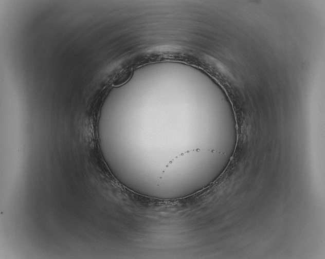 X0000111821062200908061131