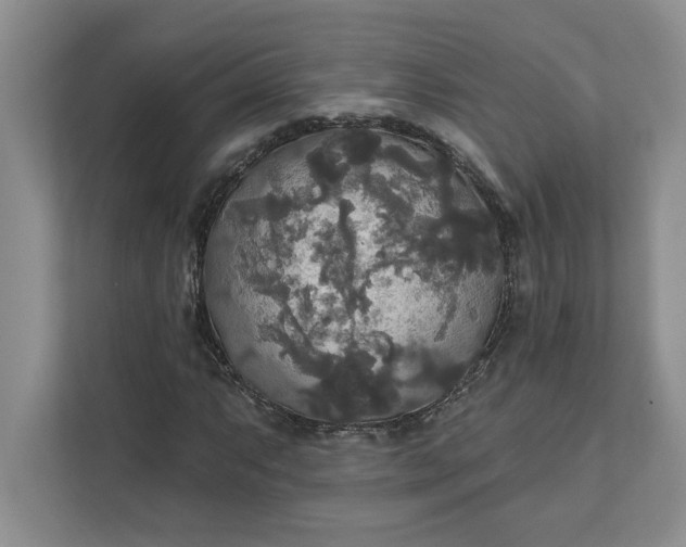 X0000111821063200908061131