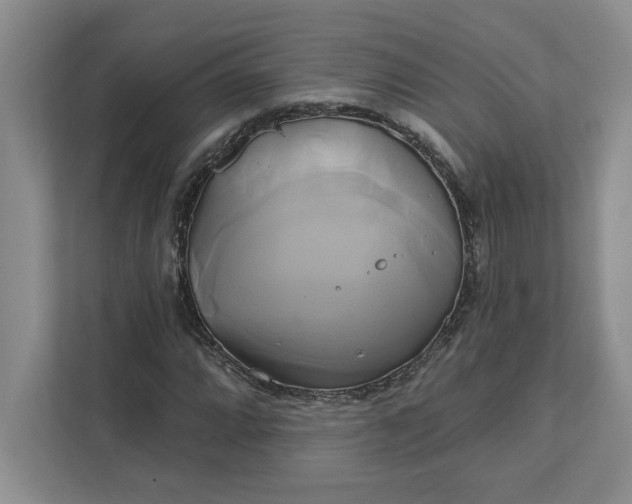 X0000111821064200908061131