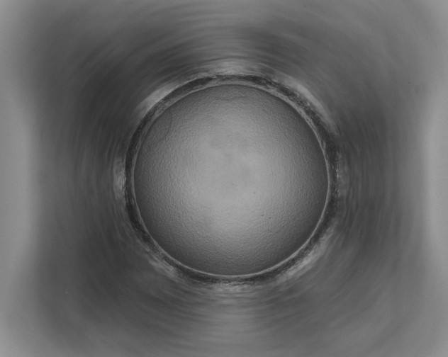 X0000111821065200908061131