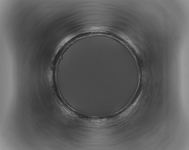 X0000111821066200908061131