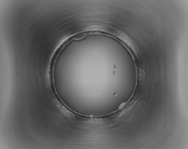 X0000111821068200908061131