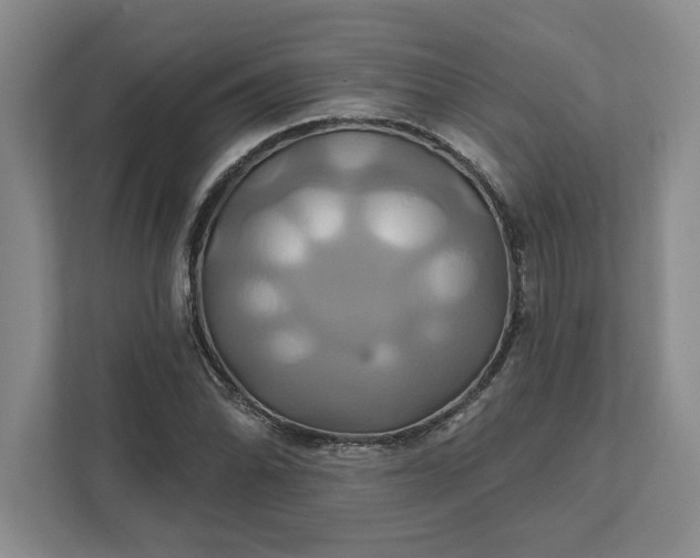 X0000111821070200908061131