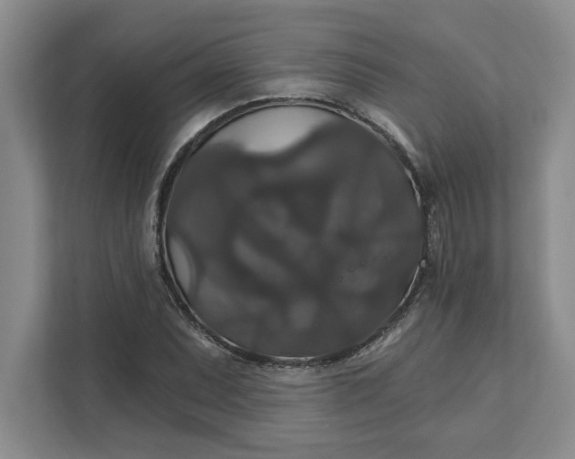 X0000111821071200908061131