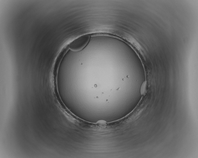 X0000111821072200908061131