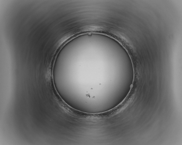 X0000111821073200908061131