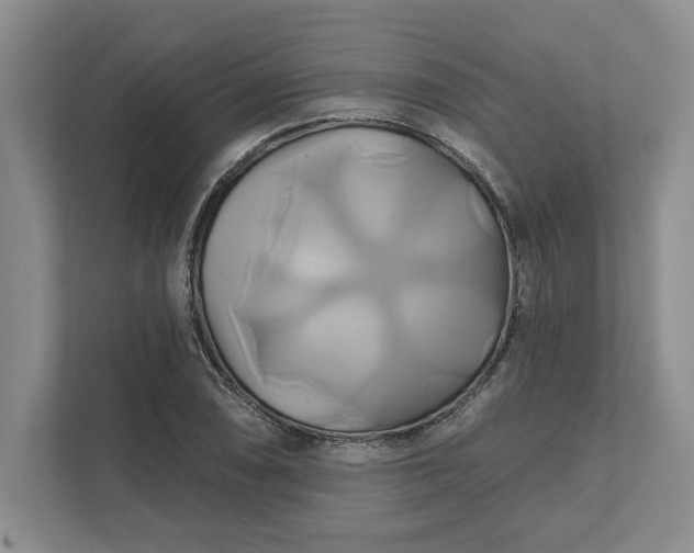 X0000111821074200908061131