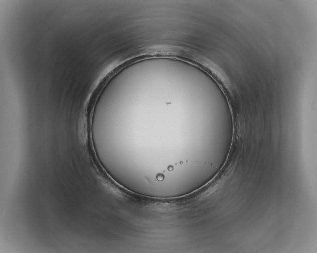 X0000111821075200908061131