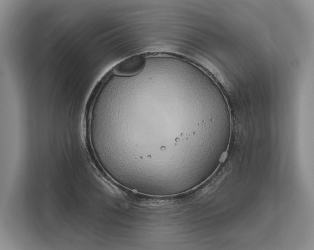 X0000111821076200908061131