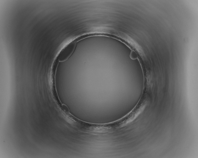 X0000111821077200908061131