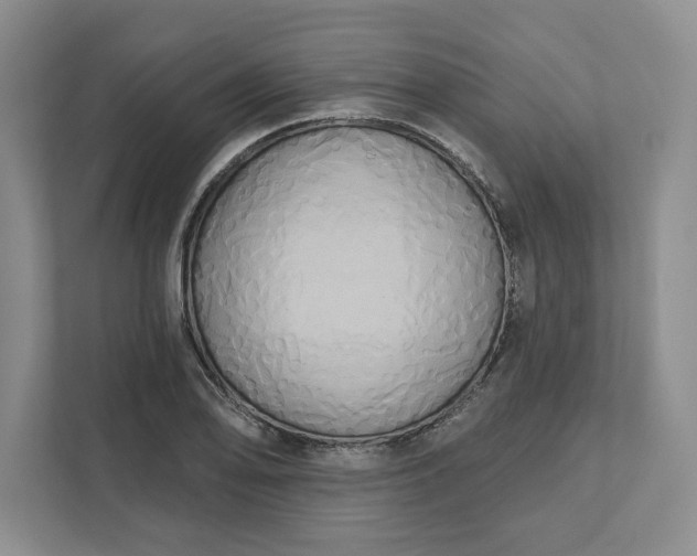 X0000111821078200908061131