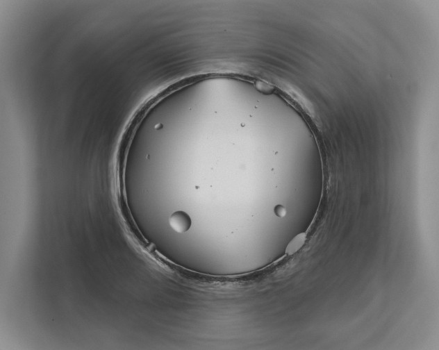 X0000111821080200908061131