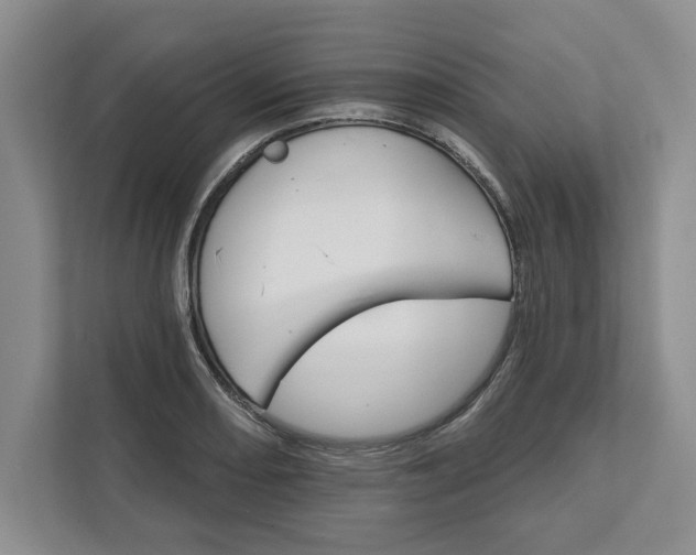 X0000111821082200908061131