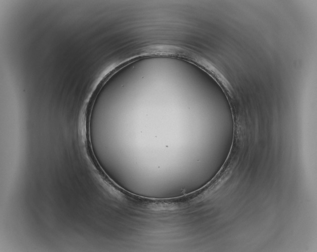 X0000111821083200908061131