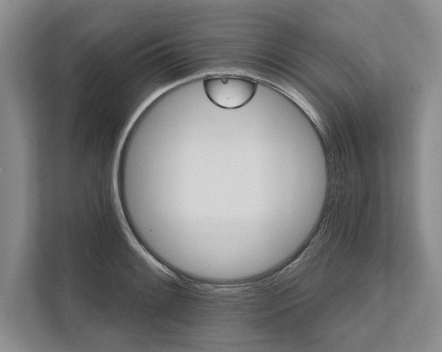 X0000111821084200908061131