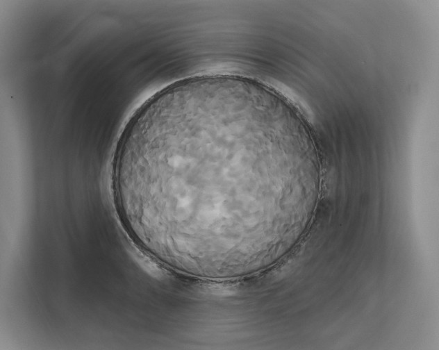 X0000111821086200908061131